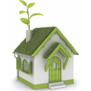 Домашняя экология