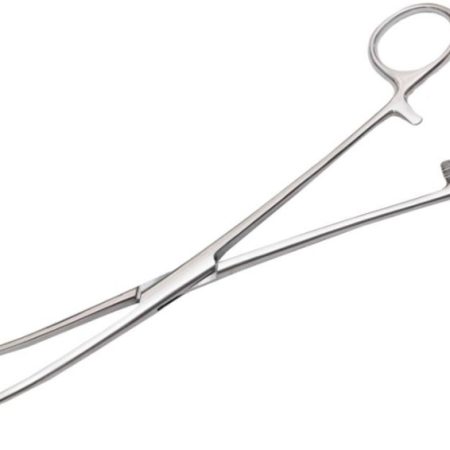 Корцанг изогнутый