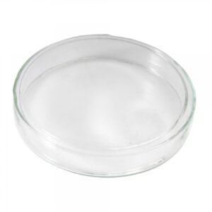 Чаша Петри стеклянная, 100-2,0 мм