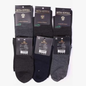 Носки мужские "Весна" 1805